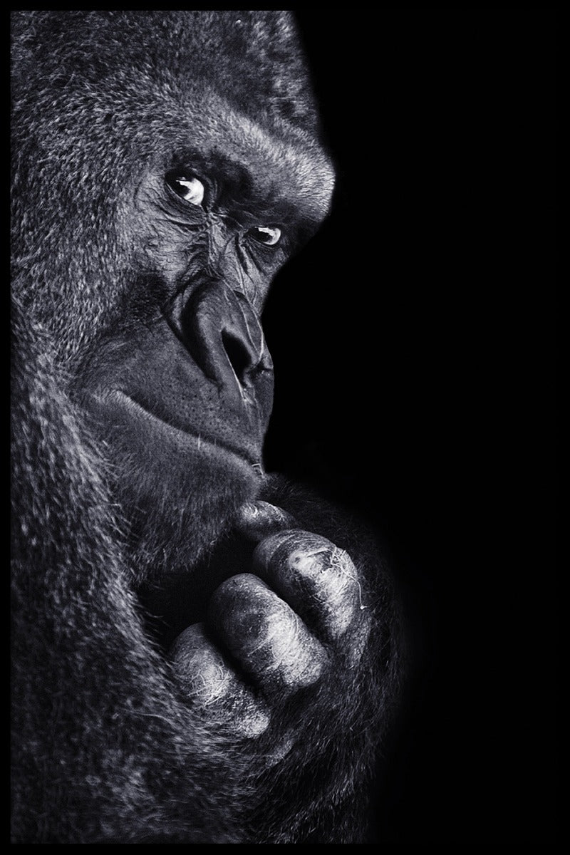 Gorilla portretposter
