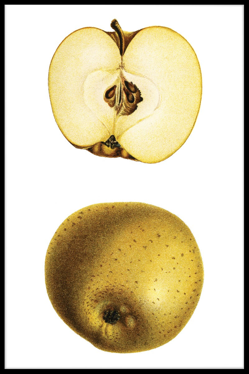 Halve gele appelpalen
