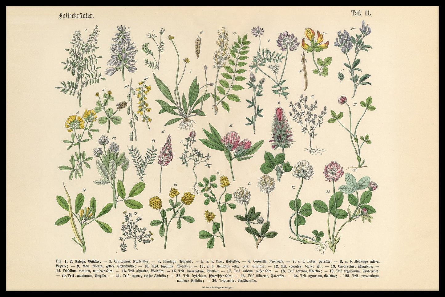 Vintage poster voor Victoriaanse tuin