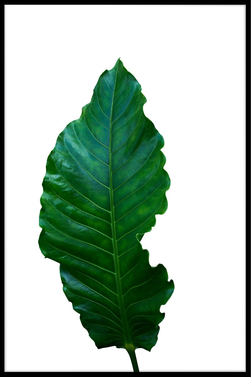 Groene bladeren witte poster