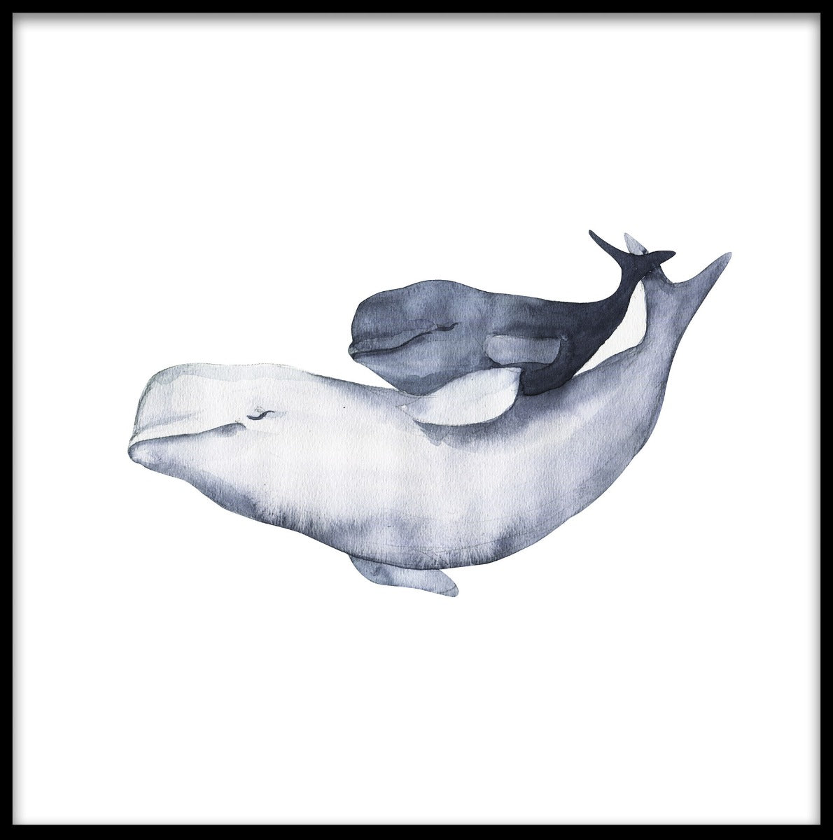 Aquarel posters voor de beluga-familie