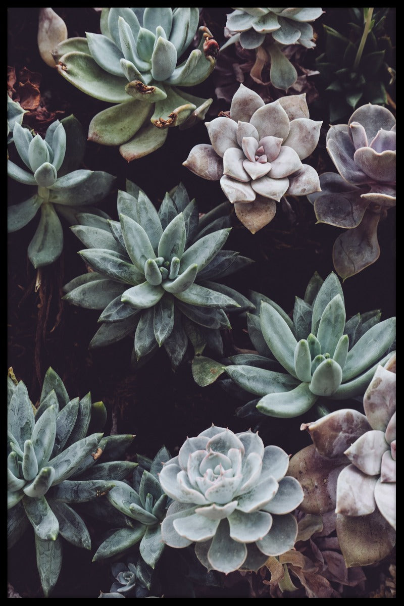 Botanische bloemenposter