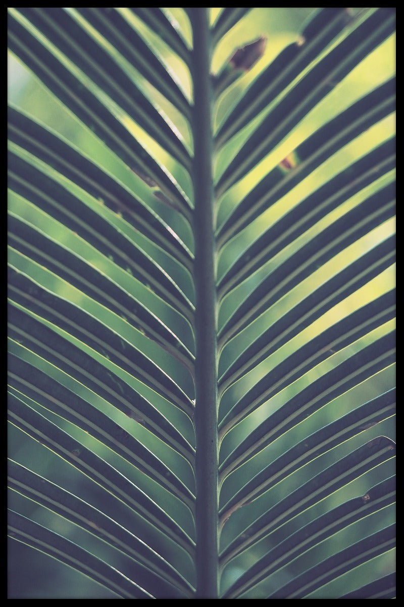 Palmblad groen gele poster