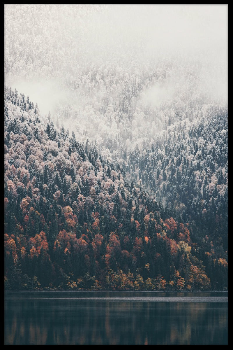 Foggy Forest Lake-poster