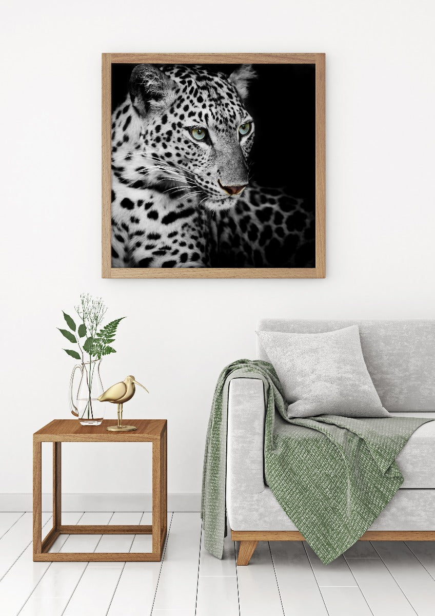 Luipaard poster