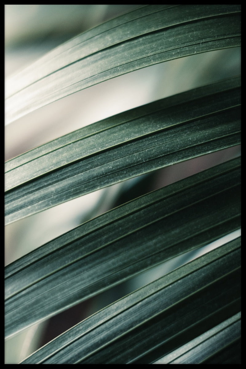 Tropische bladerenposter