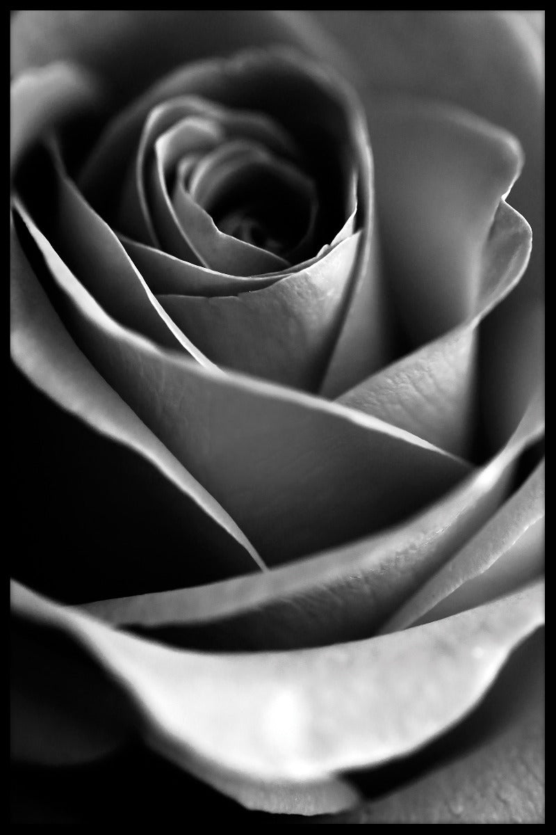 Macro bloemenposter