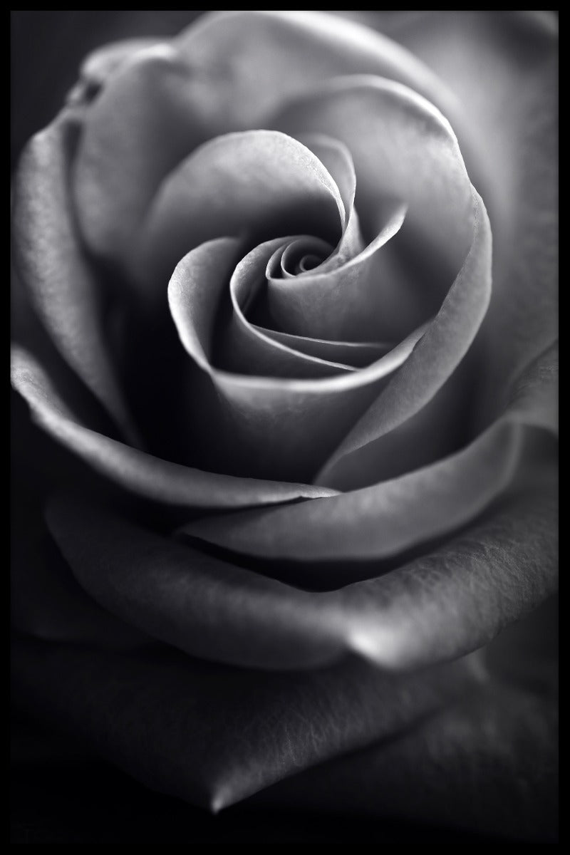 Macrobloem N03 artikelen