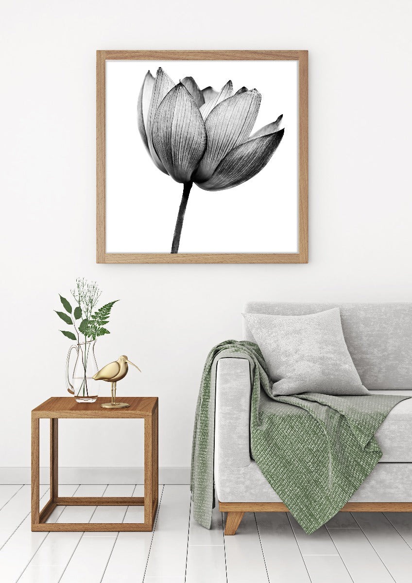 Lotus zwart-wit poster