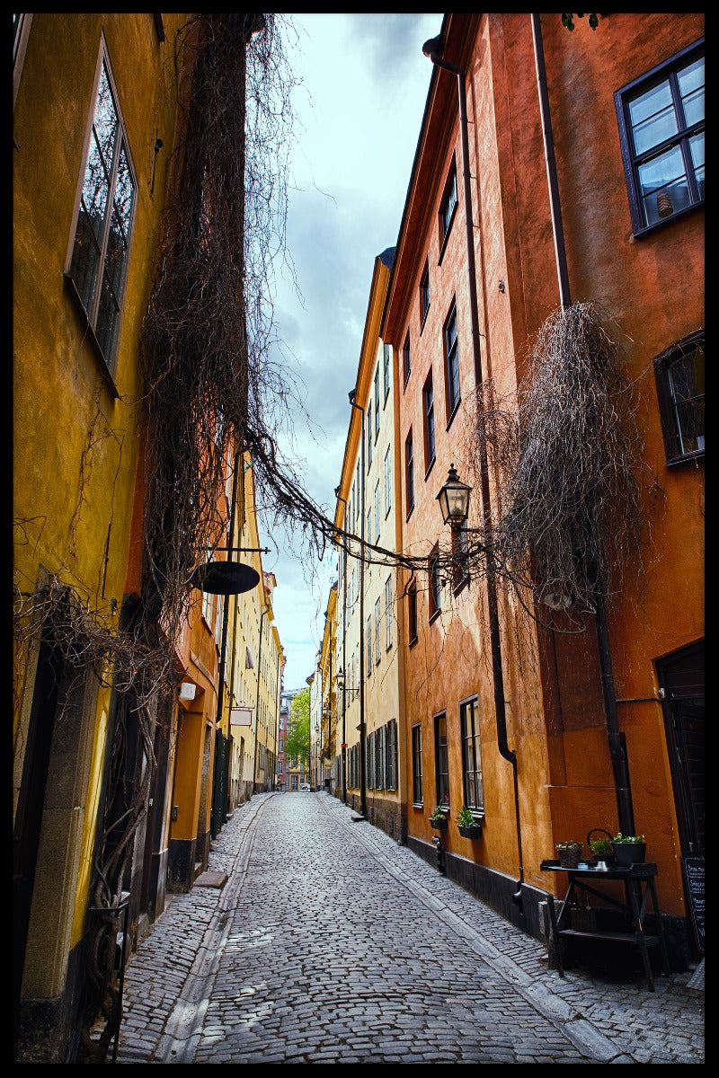 Stockholms Gator N03 artikelen