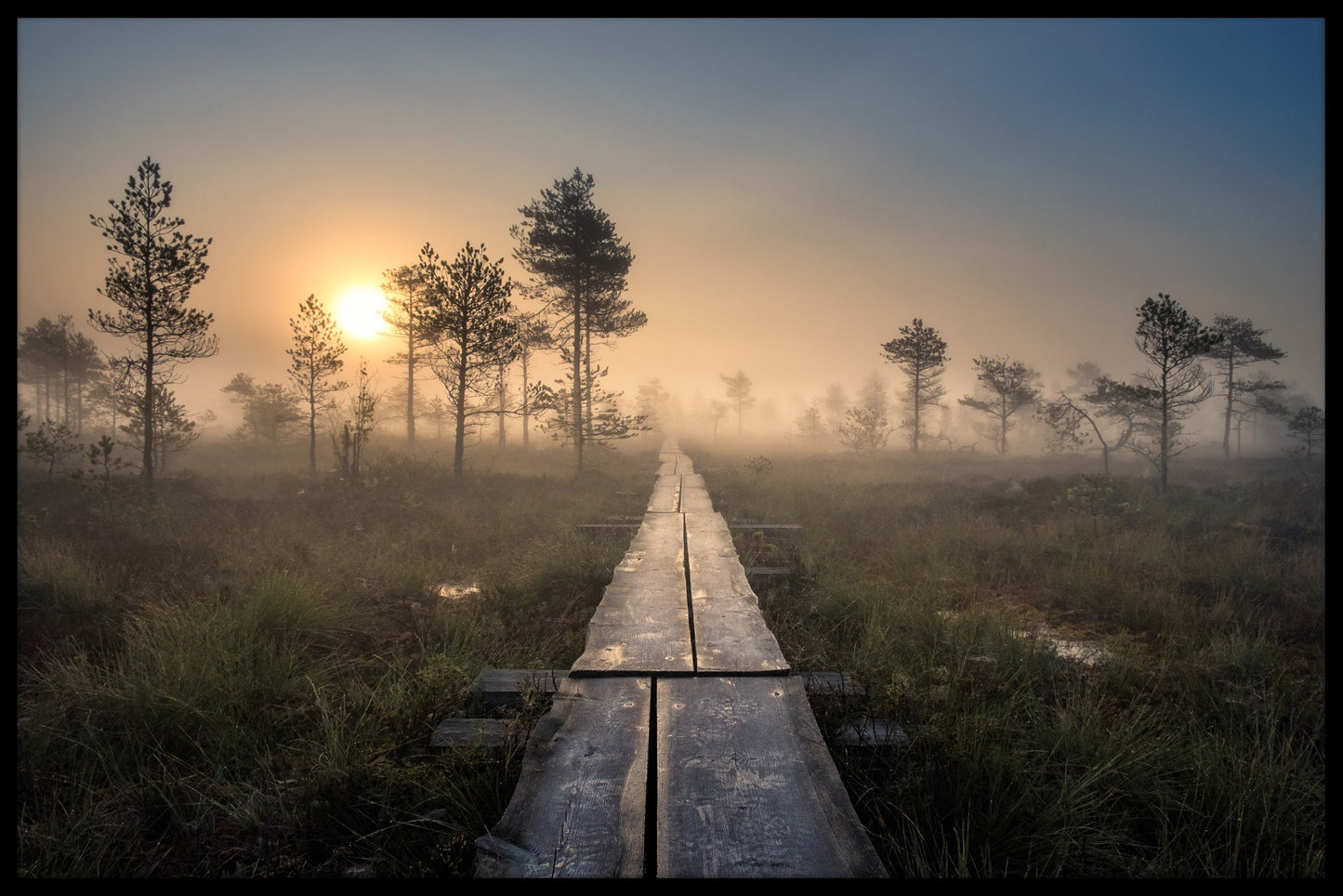 Torronsuo Finland-poster