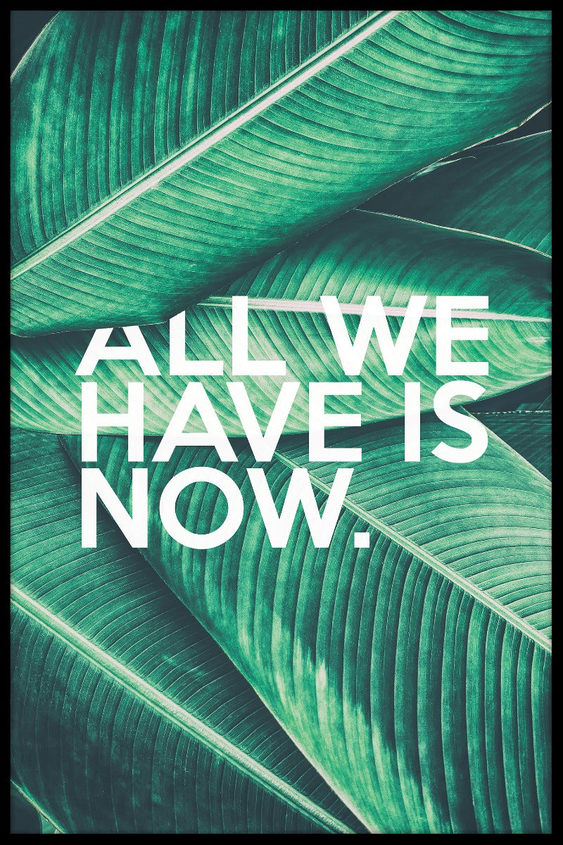 Het enige wat we nu hebben zijn records