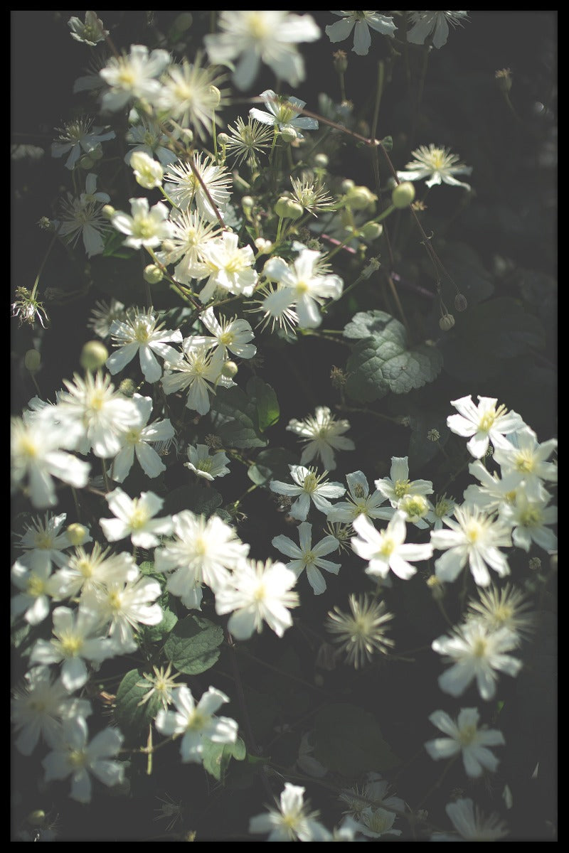 Stockholm bloemenpost