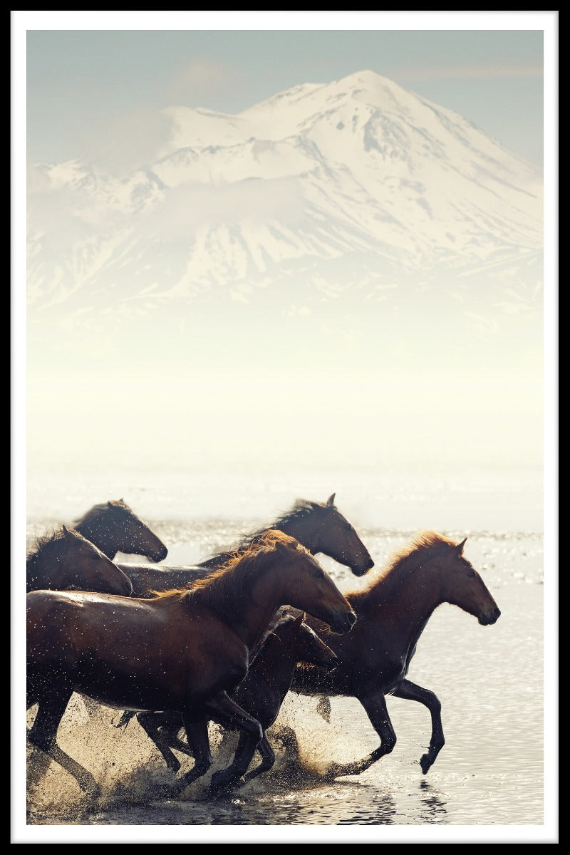Wild Horses N02-record