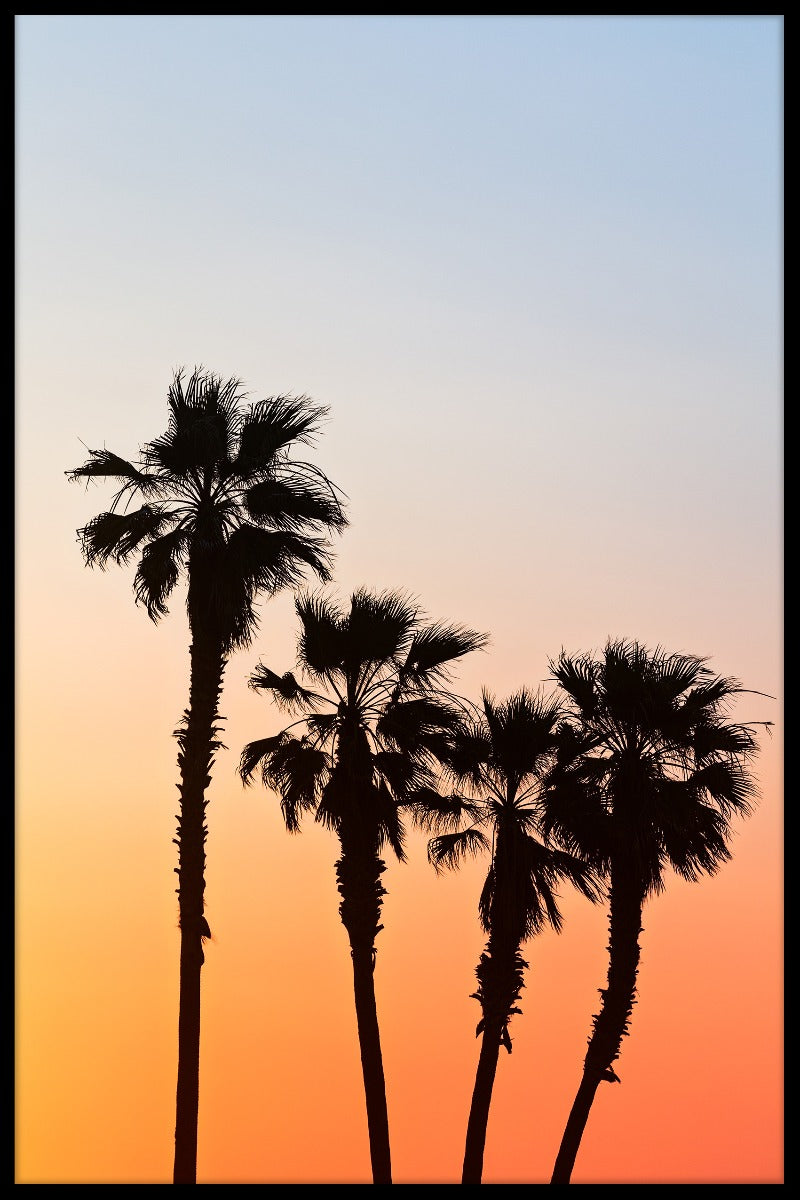 De affiche van de palmzonsondergang