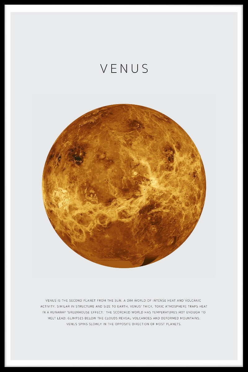 Venus-posters