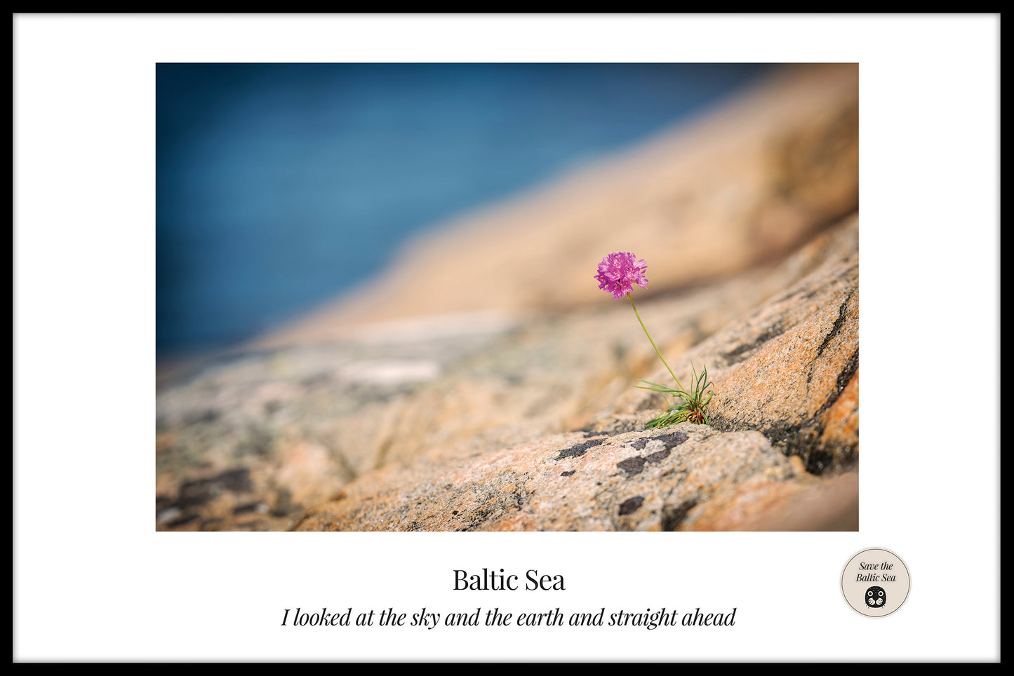 affiche Bloei door de Baltische Zee