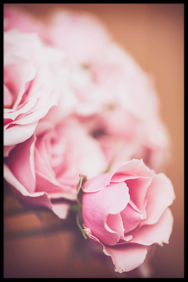 Roze rozen N02 poster