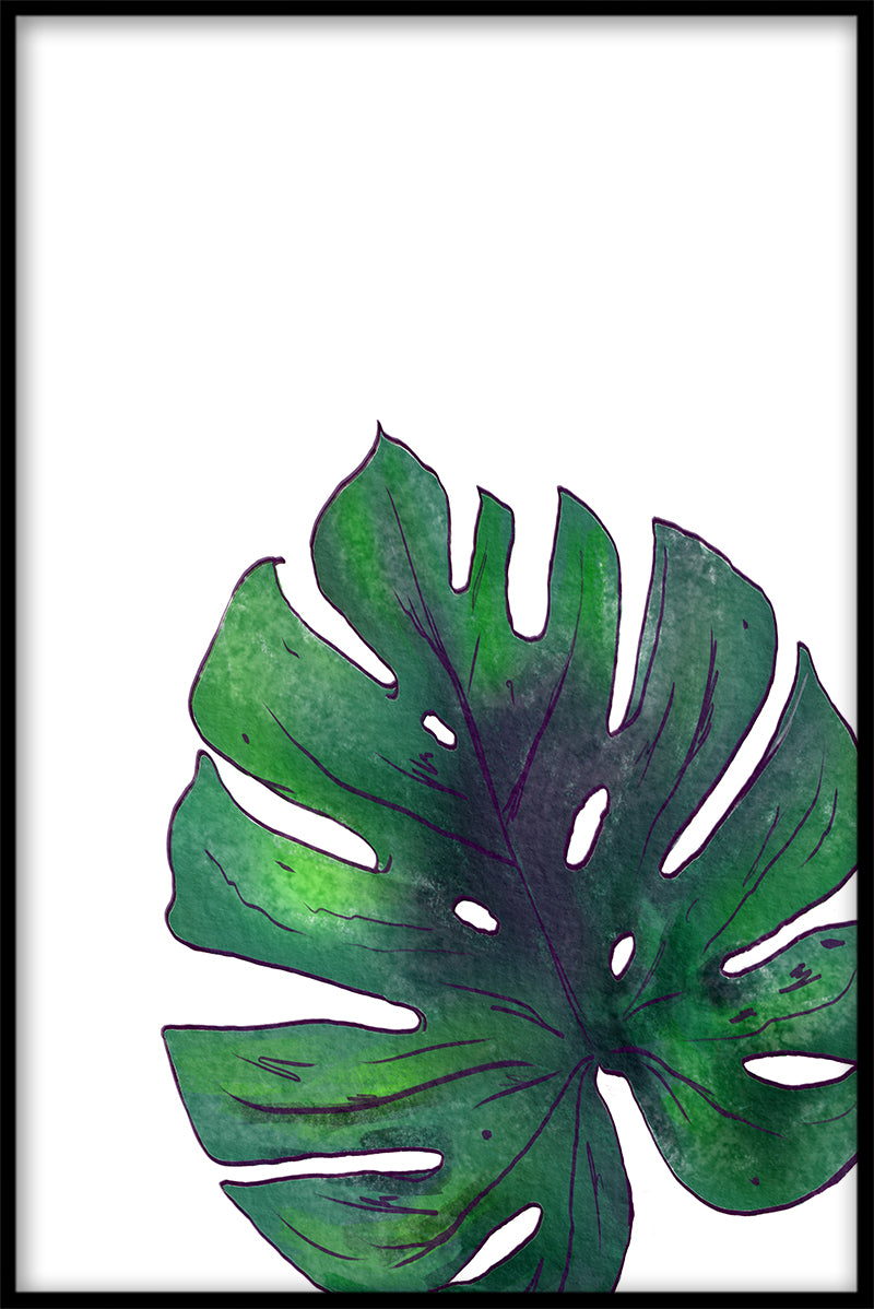Monstera N02-inzendingen