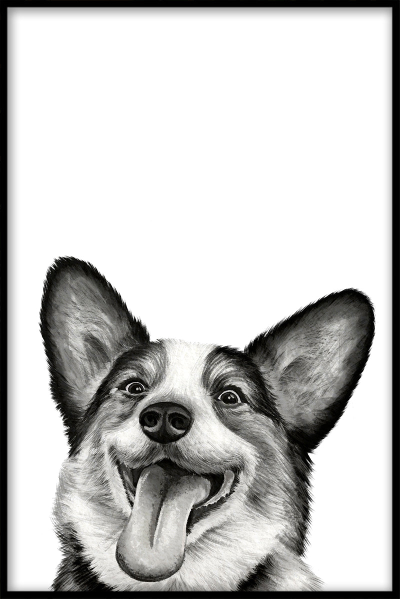 Corgi-records