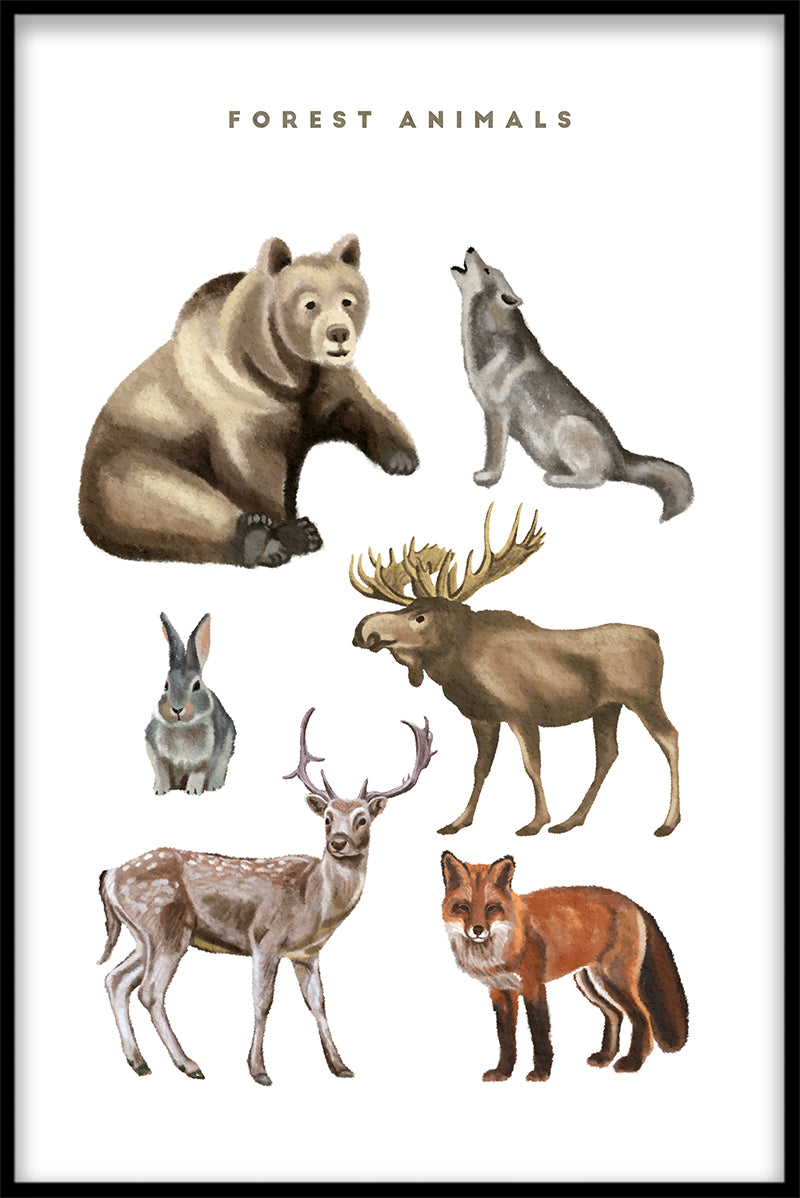 Bosdieren Illustratie poster