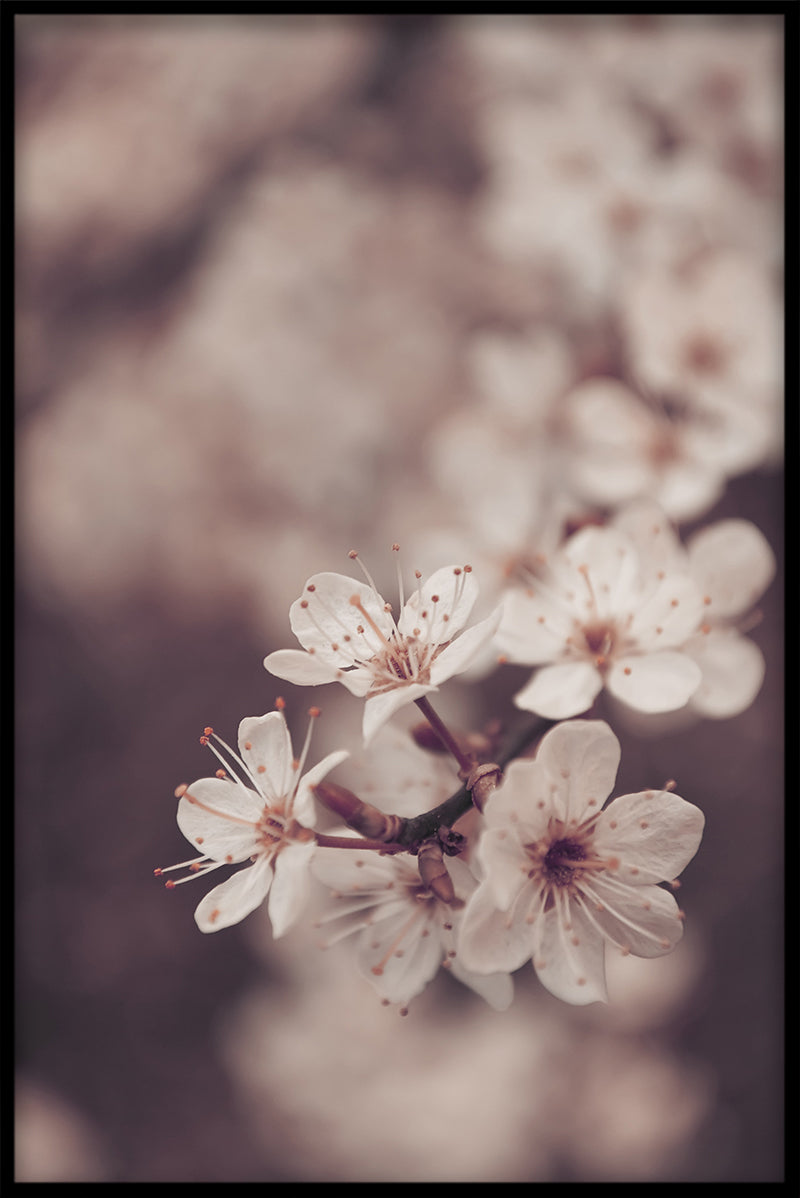 Bloemen N04 inzendingen