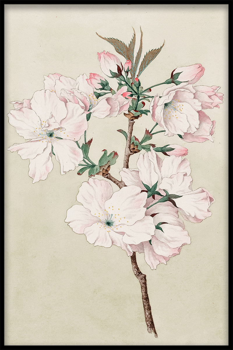 Kersenbloesems N02 artikelen