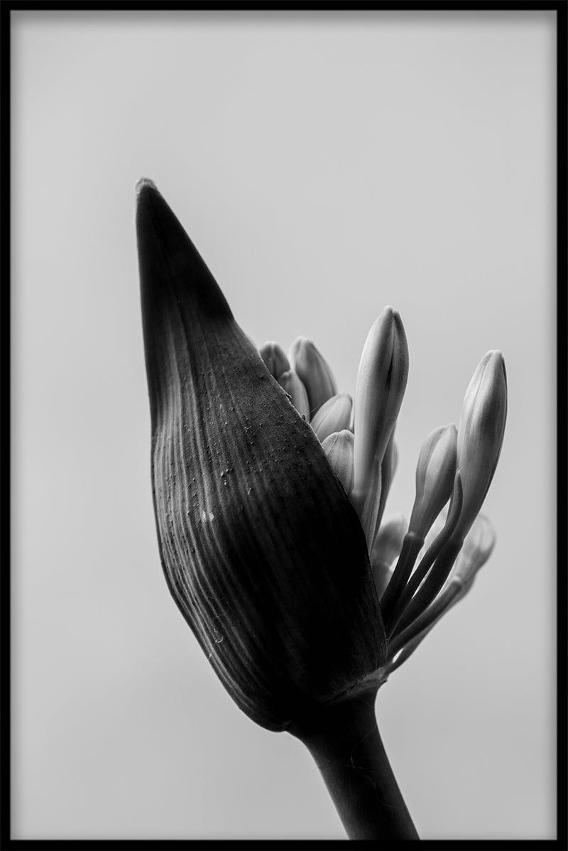 Kunstfotografie N02 items