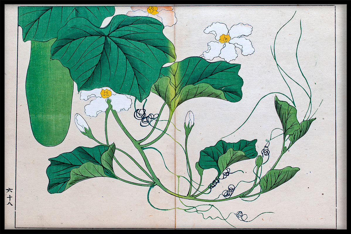 Japanse illustratie N01 record