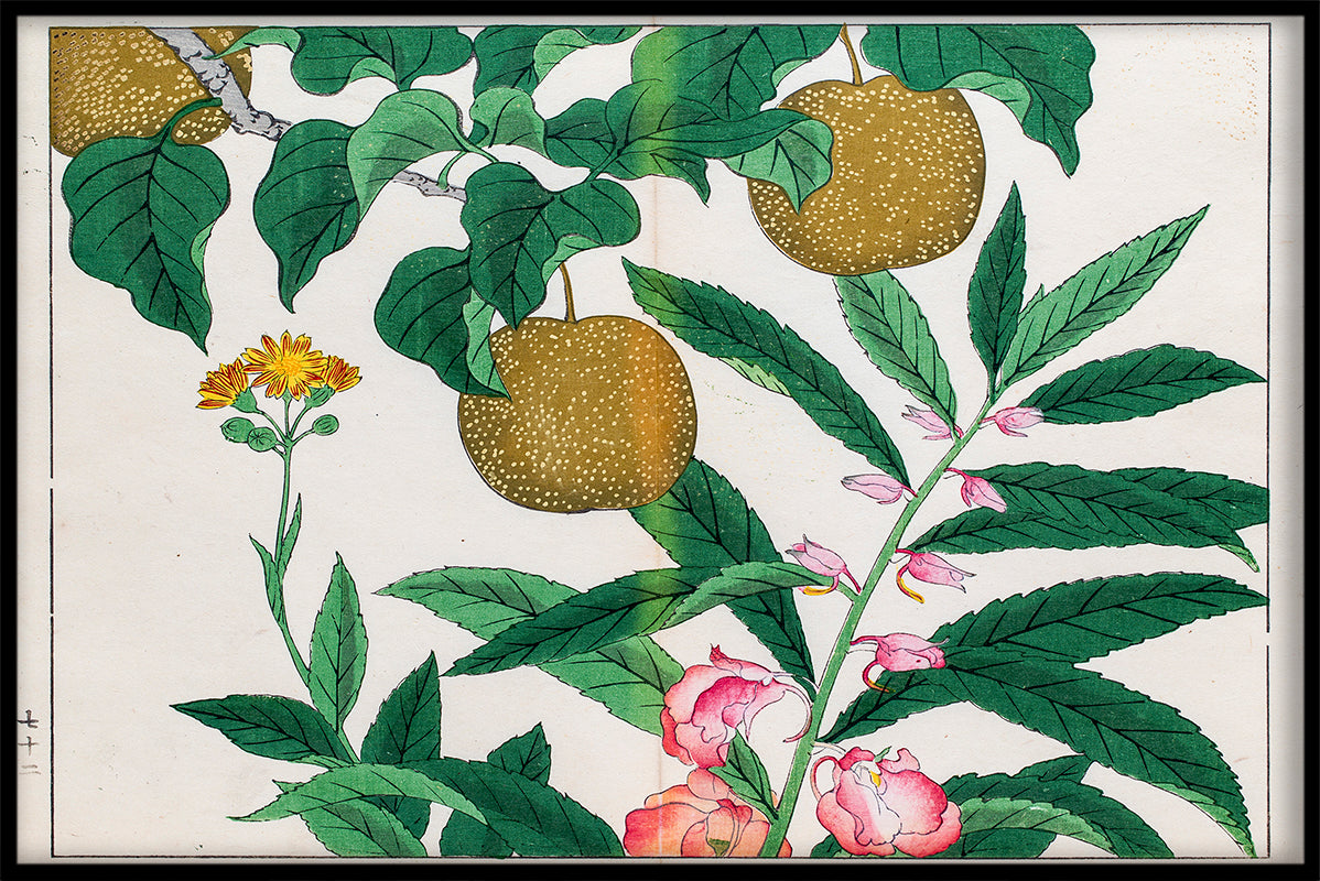 Japanse illustratie N03 record