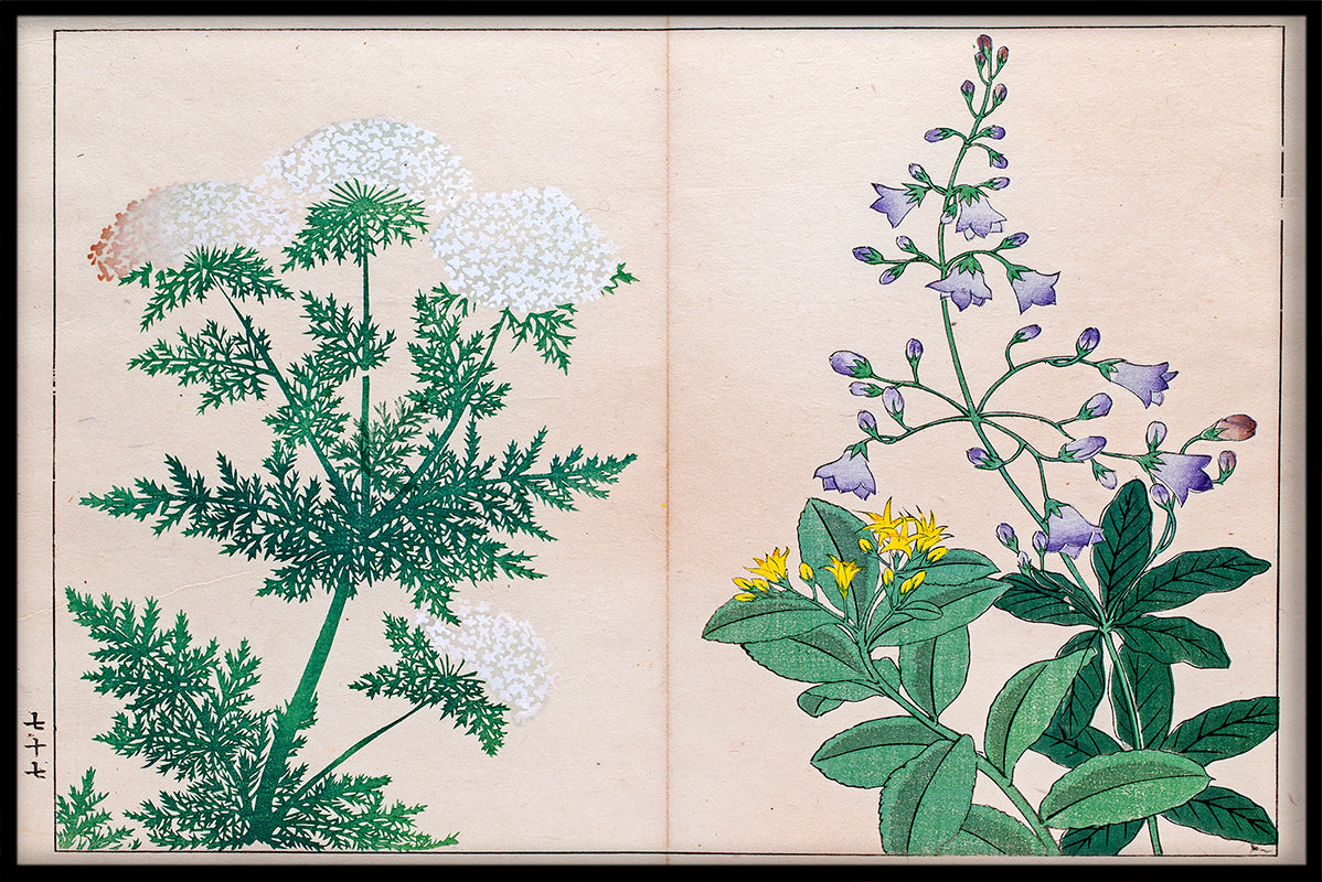 Planten &