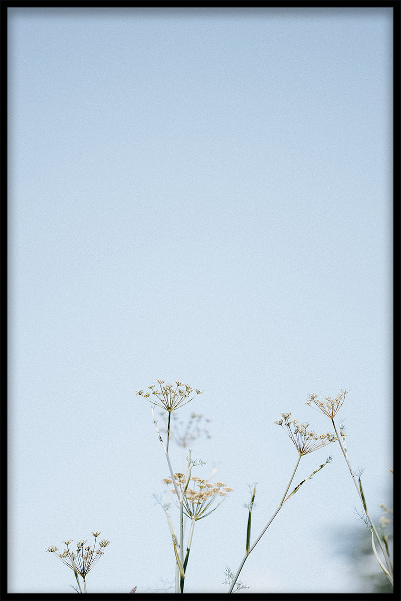Lichtblauwe N01-platen