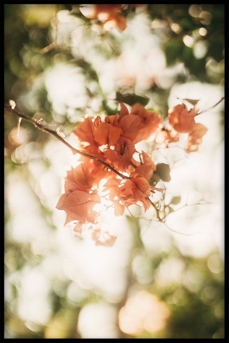 Zuid-Europa N02-vermeldingen