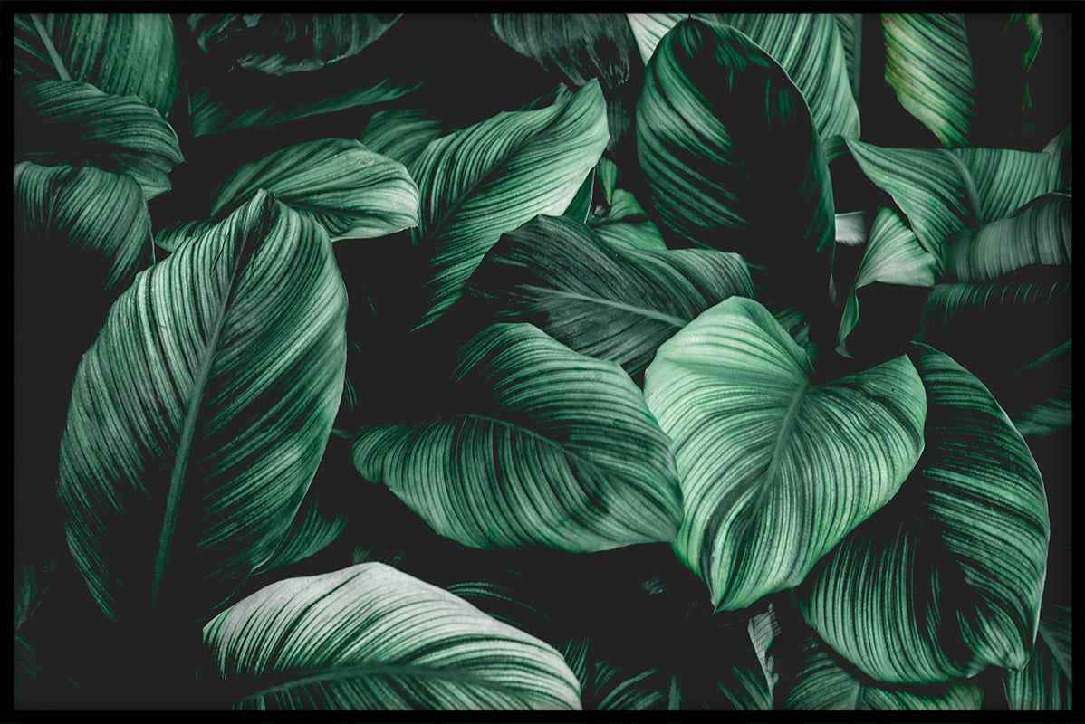 Exotische planten N03 items