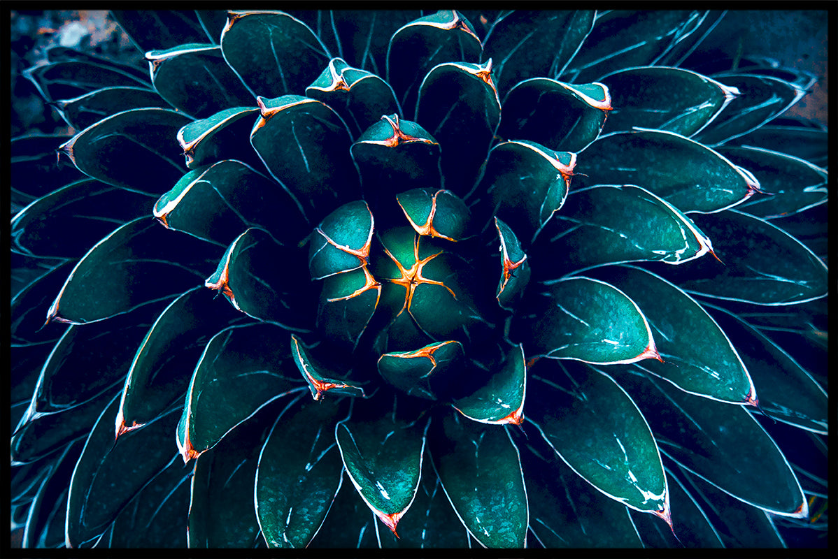 Exotische planten N06 items