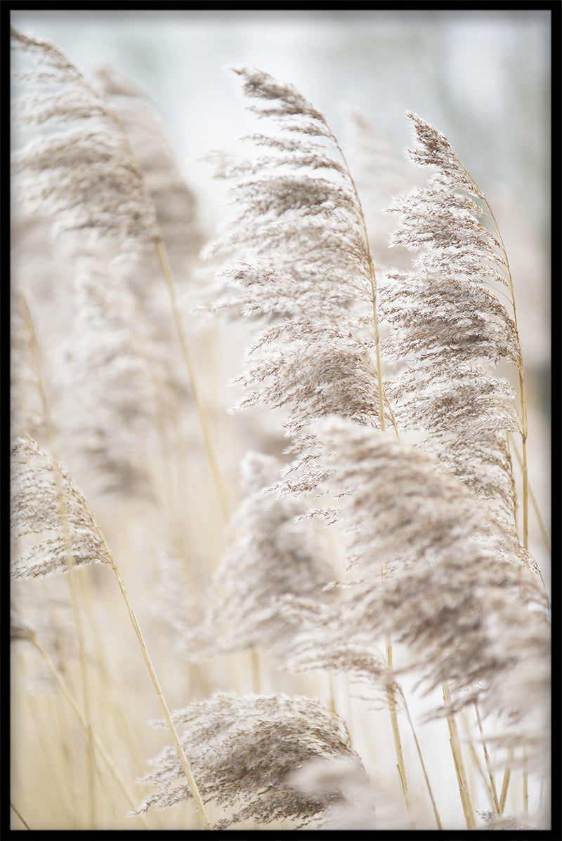 Reeds dossiers