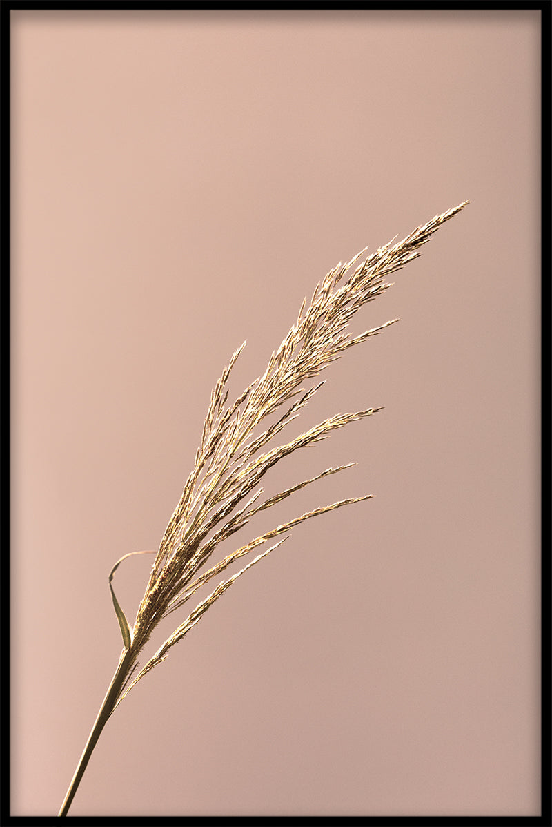 Gras-records