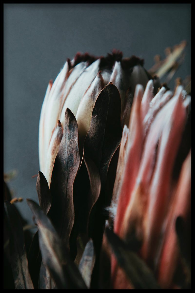 Vintage bloemen collectie N02 poster