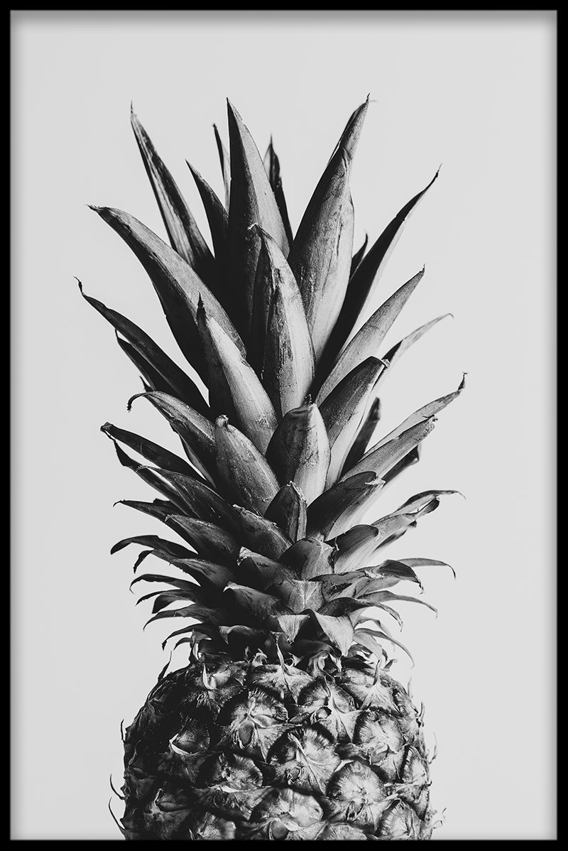 Ananas N02-records