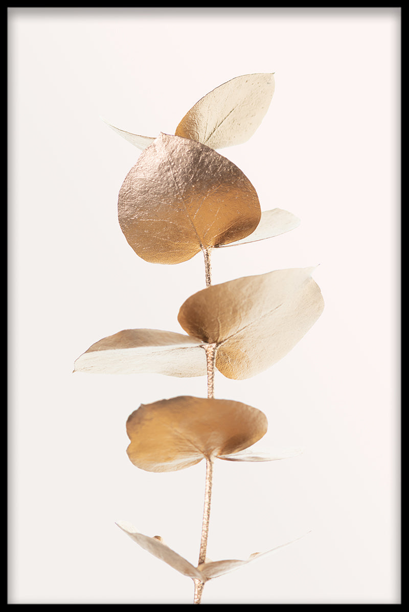 Gouden plant N02-records