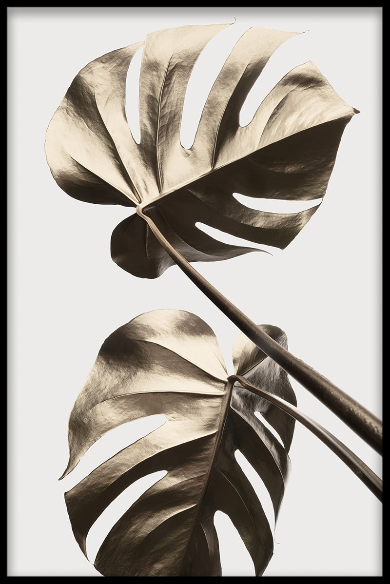 Gouden Monstera N02 platen