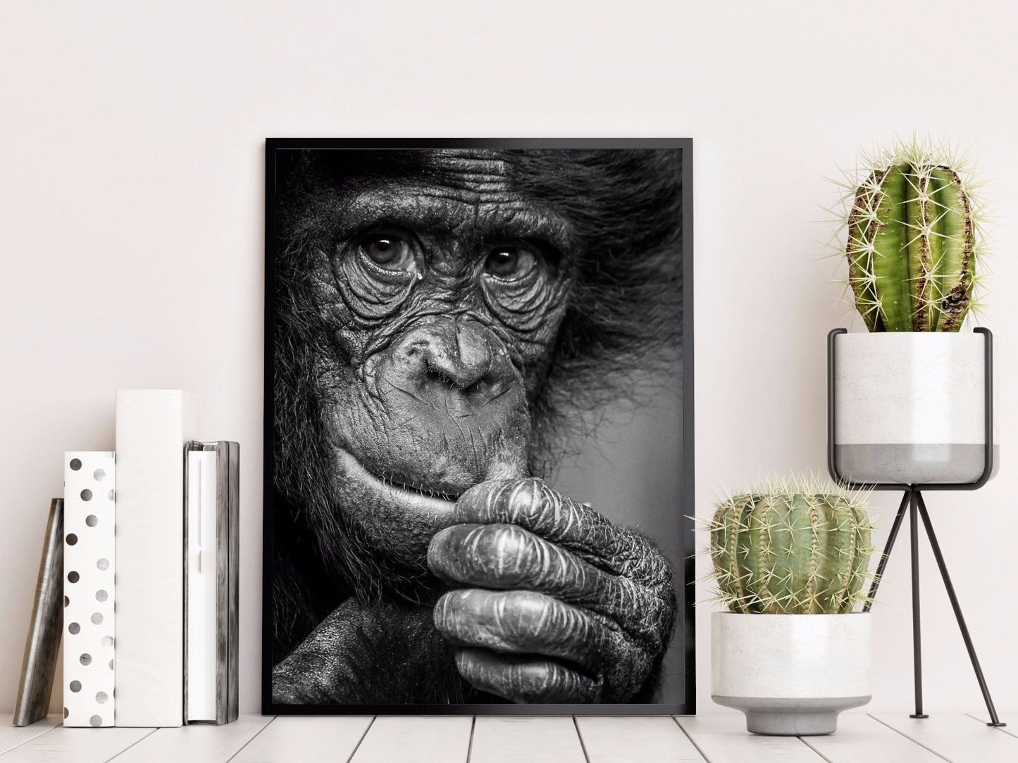 Bonobo ziet tot nadenken stemmende berichten