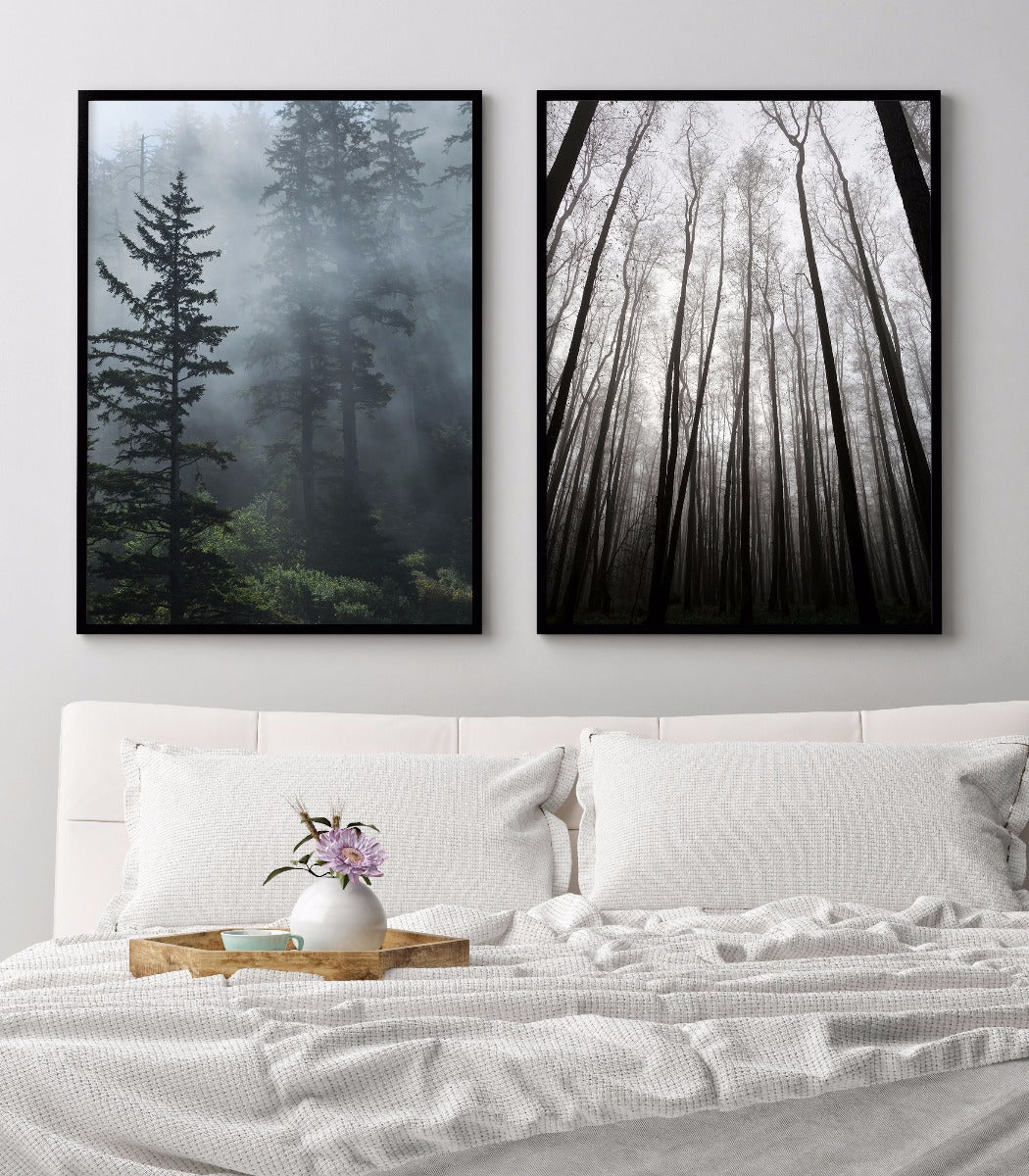 posters Mist in het altijdgroene bos