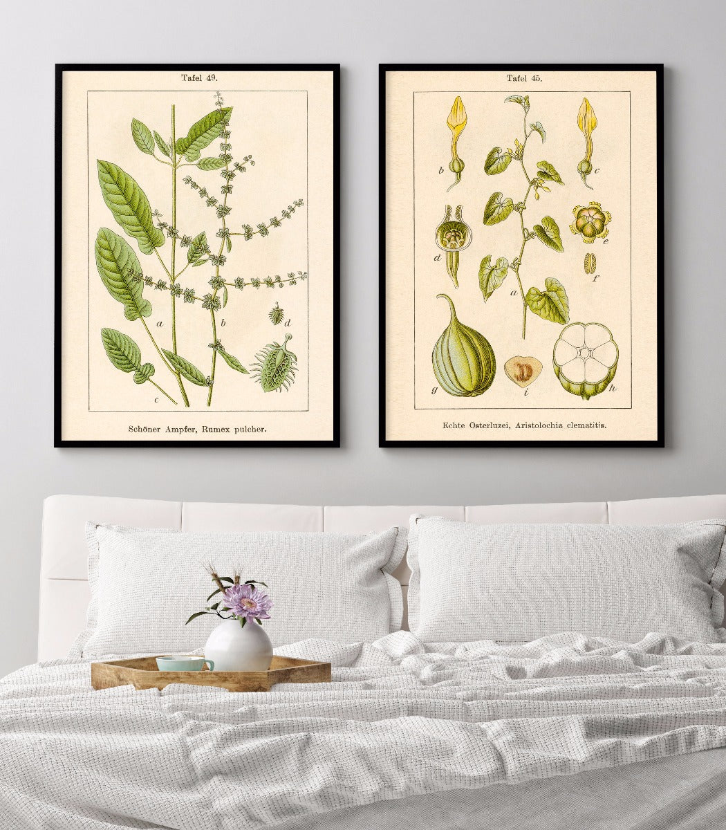 Antieke Bloem Illustratie Fiddle Dock Poster