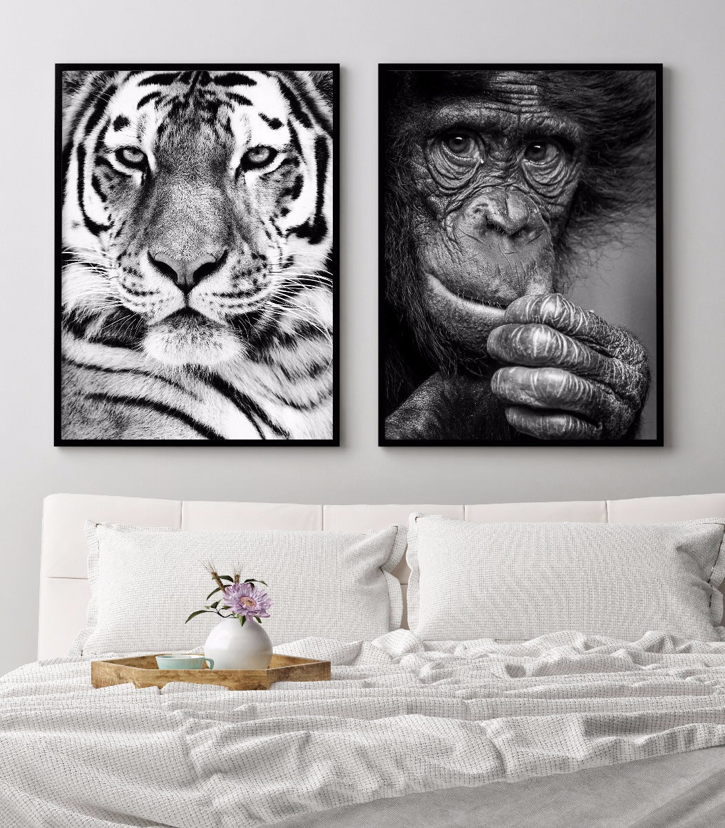 Siberische tijger portretposter