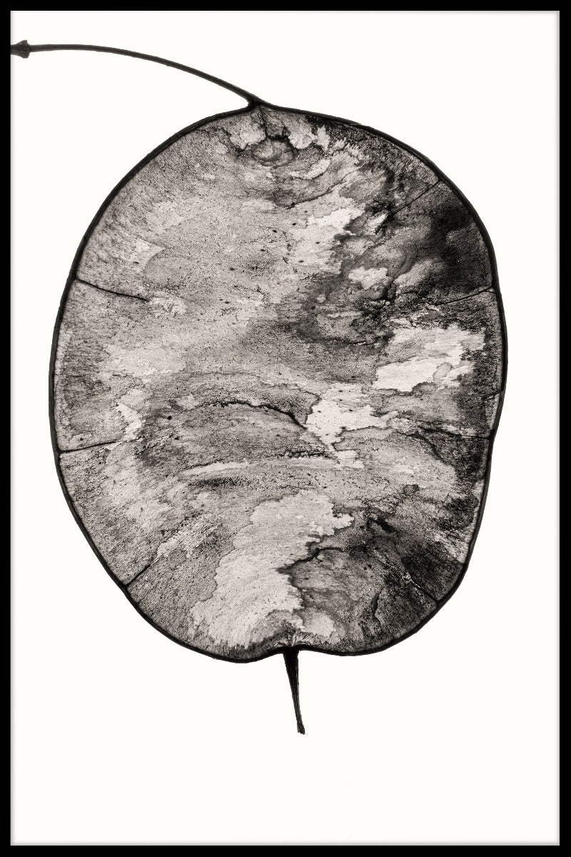 Illustratie abstracte affiche