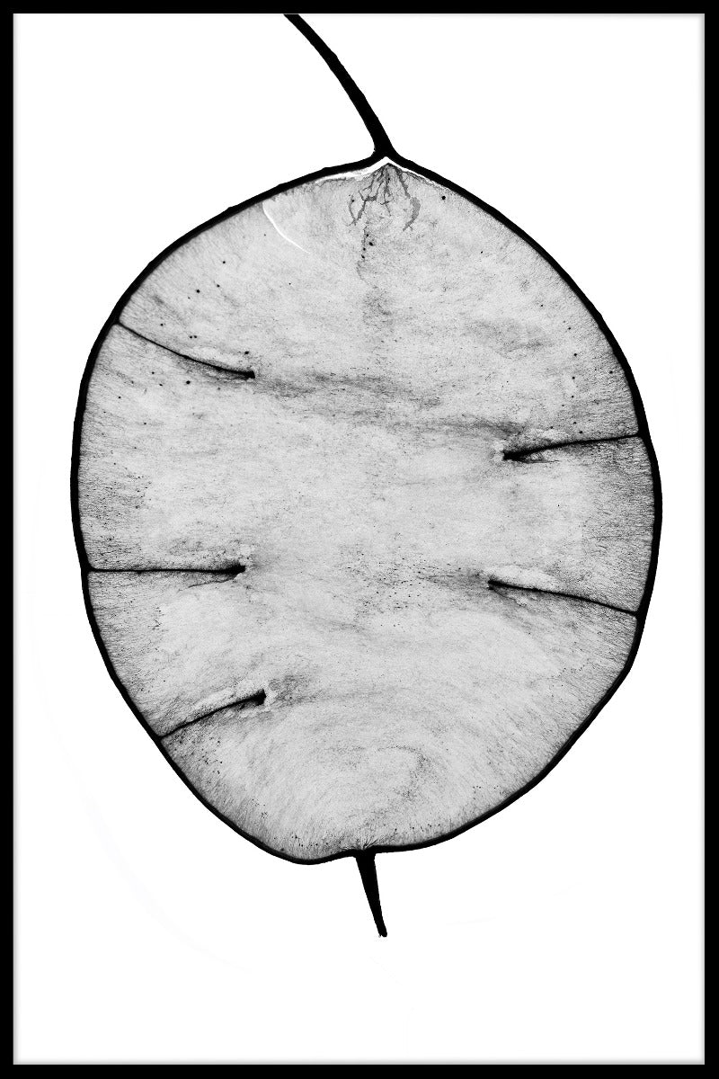 Illustratie Abstracte N02-records