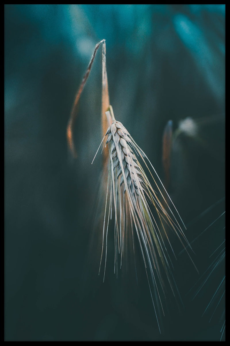Vreedzame herfst natuur poster