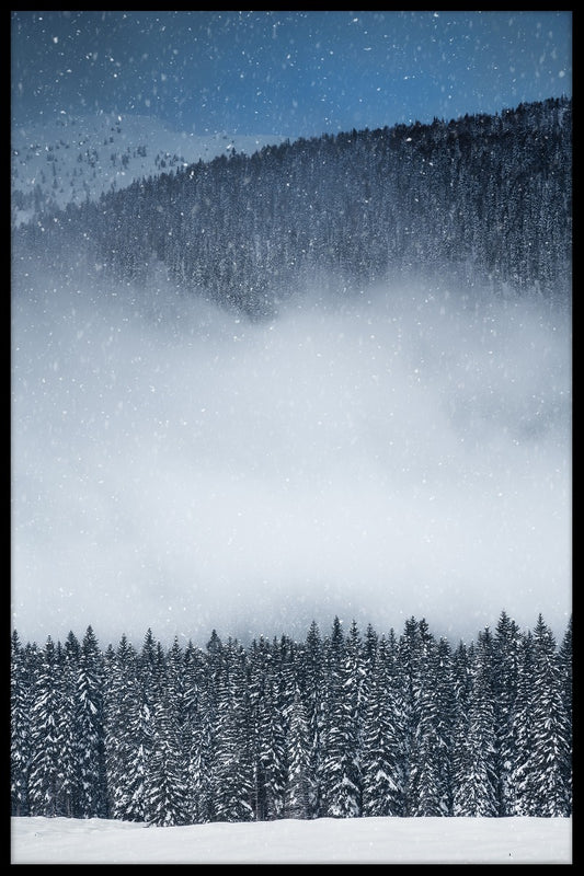  Winters aanblik bosinzendingen