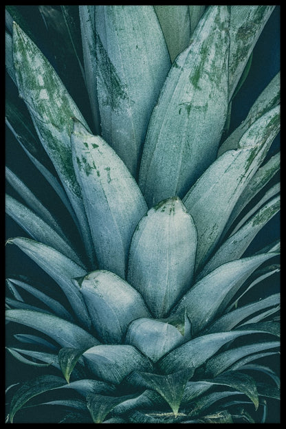  Ananas kroon poster